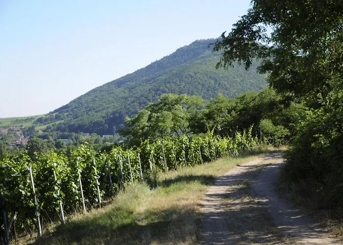 De L'ortenbourg - Mobilier D Antiquaire